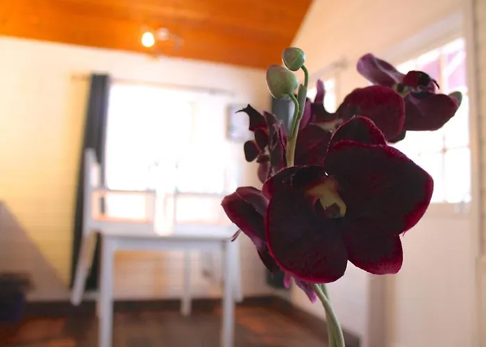 Lofoten Camp Lodge *