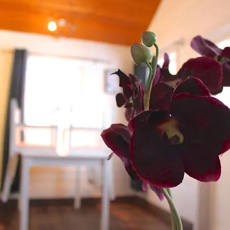 Lofoten Camp Lodge *