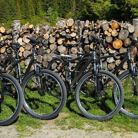 Lofoten Camp * Stamsund